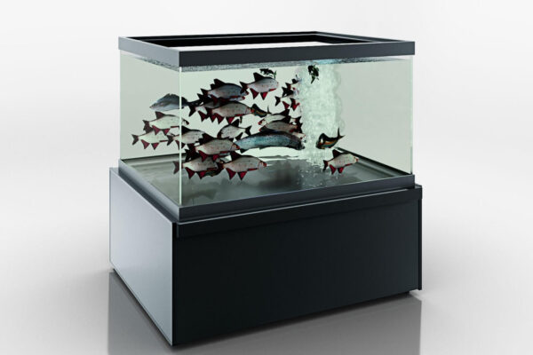 Аквариум Missouri NC 120 aquarium для продажи живой рыбы Hitline 